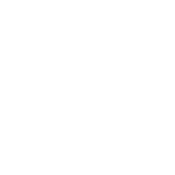 prisma's image